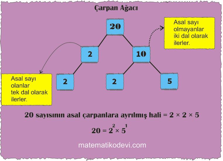 Carpanlar Ve Asal Carpanlar Konu Anlatimi Matematik Odevi